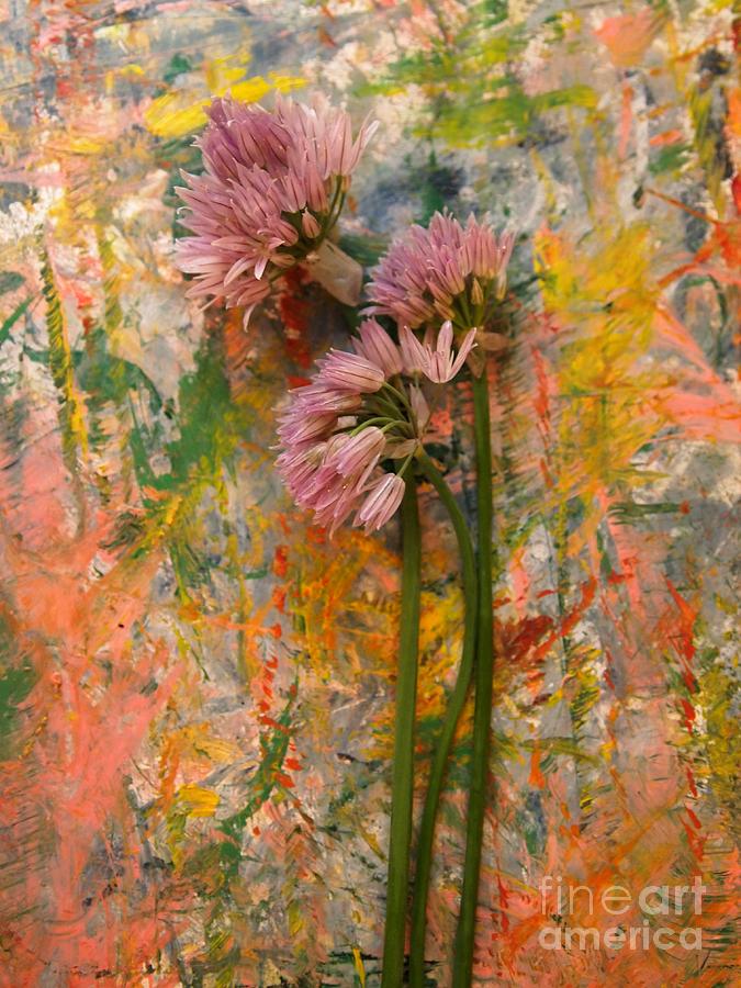 Flowering Garlic Mixed Media by Nancy Kane Chapman