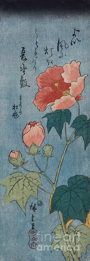 Flowering Poppies Tanzaku Painting by Ando Hiroshige