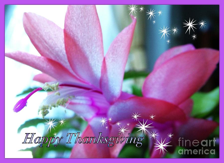 Flowering Succulent Thanksgiving Photograph by Joan-Violet Stretch