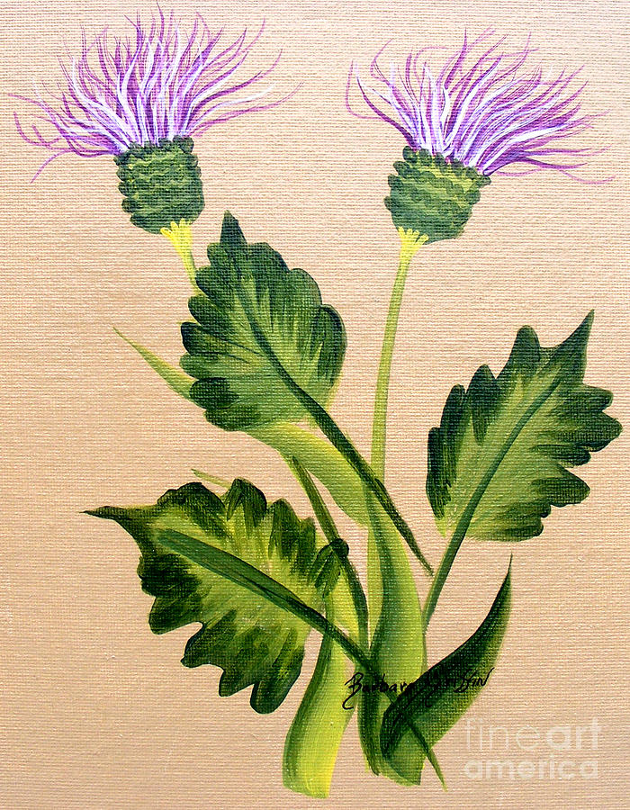 Flowers Still Life Painting - Flowering Thistle by Barbara A Griffin