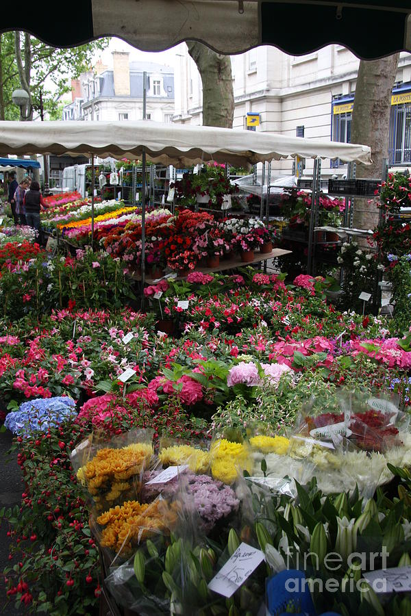 Flowermarket - Tours Photograph by Christiane Schulze Art And Photography