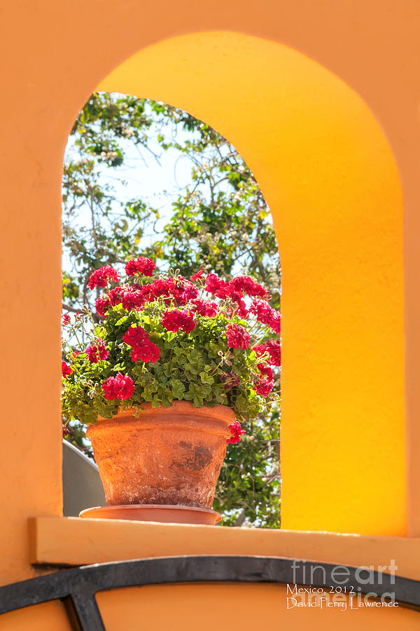 Flowerpot In A Mexican Wall Photograph