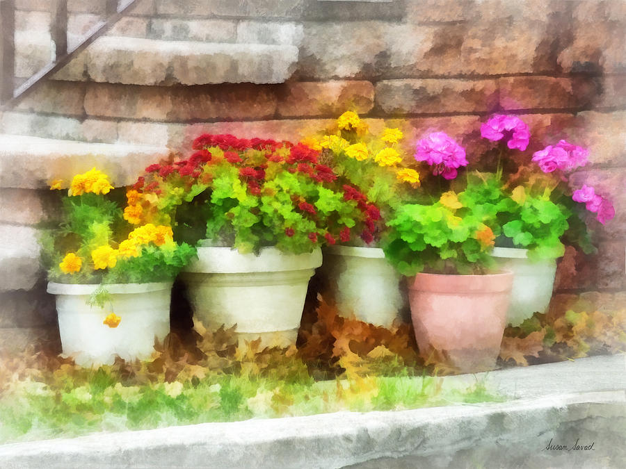 Flowerpots with Autumn Flowers Photograph by Susan Savad