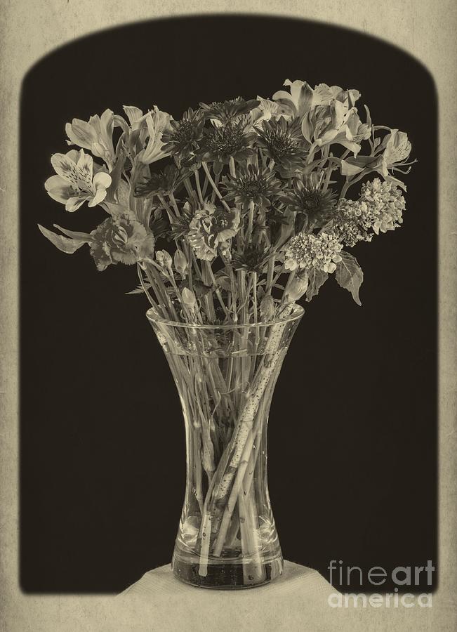 Flowers 1860s Photograph by Edward Fielding