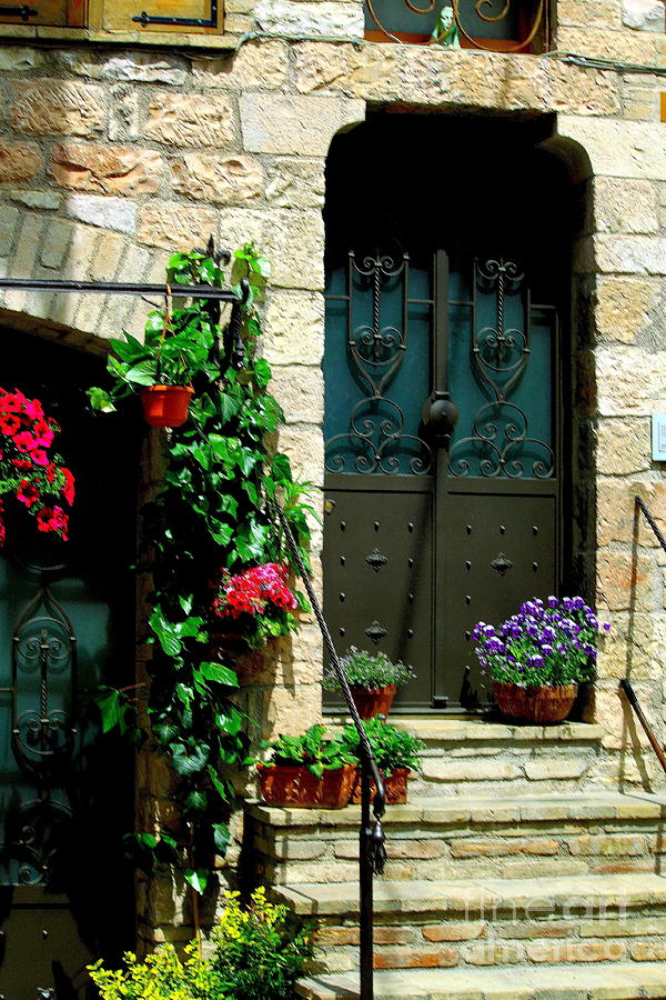 Flowers 4-Assisi Photograph by Theresa Ramos-DuVon