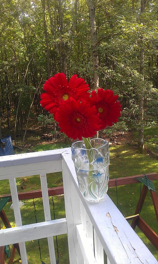 Flowers Photograph by Amanda Moore Fine Art America