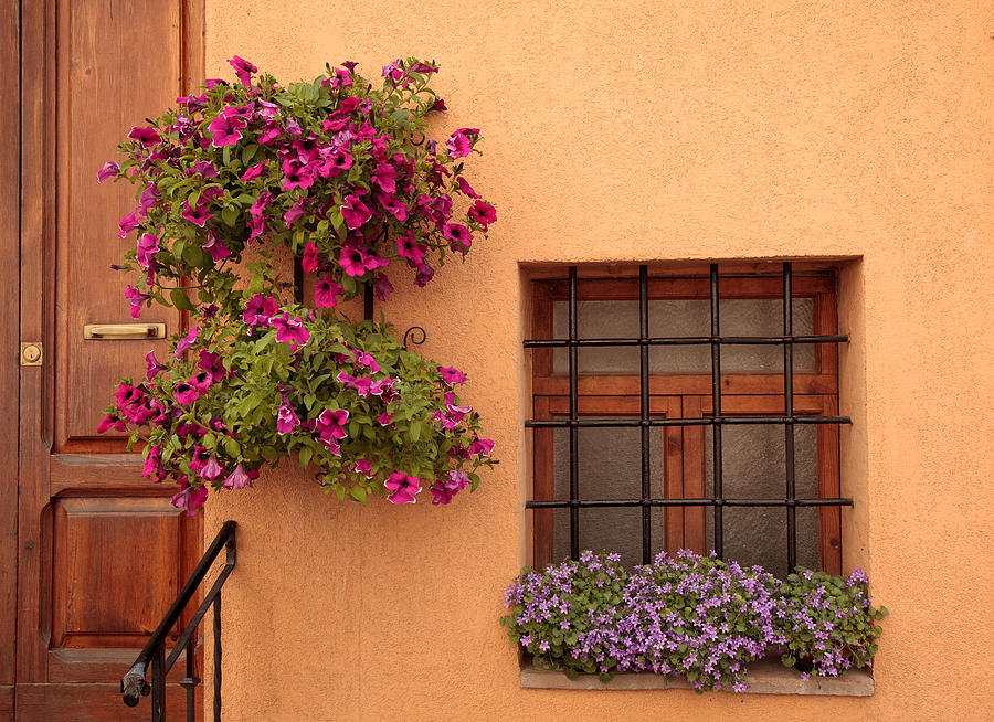 Flowers and a Window Photograph by Uri Baruch