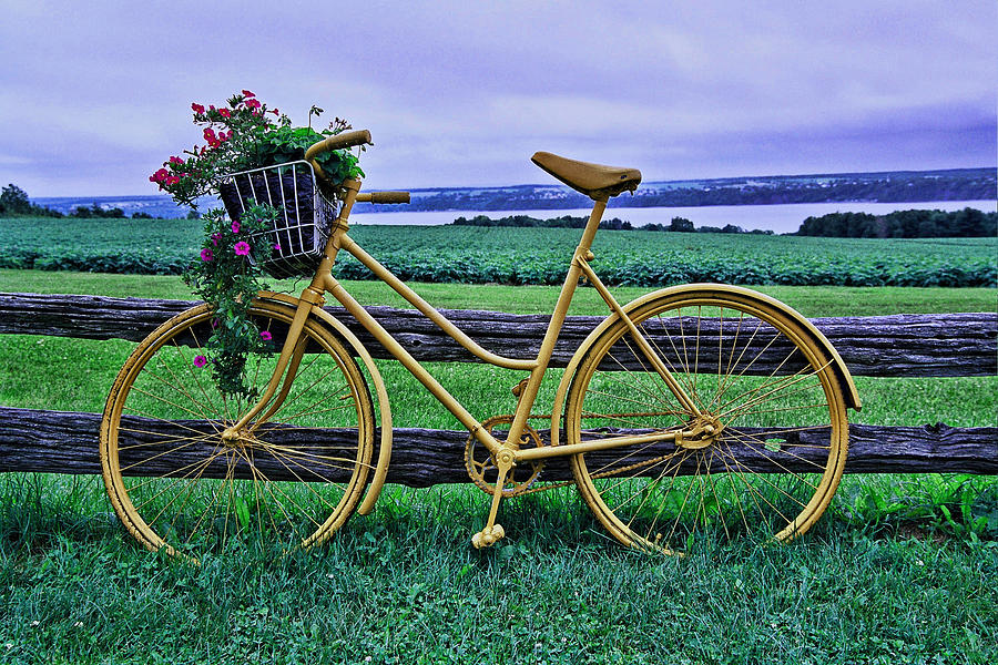 Flower Photograph - Flowers and Bicycle by Allen Beatty