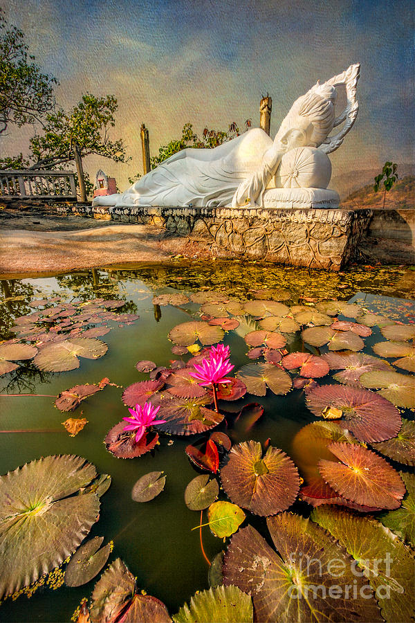 Flowers and Buddha Photograph by Adrian Evans