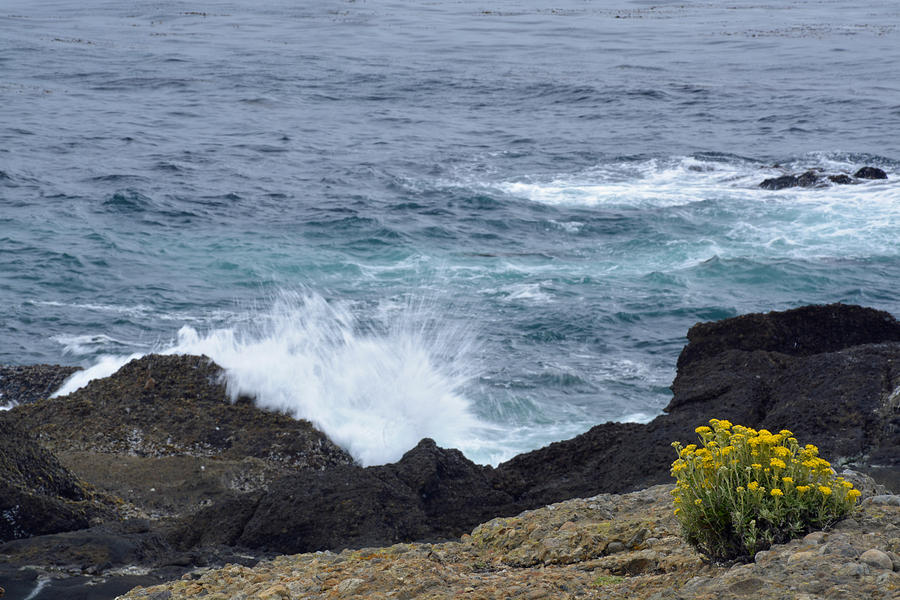 Flowers and Crashing Waves Photograph by Bruce Gourley