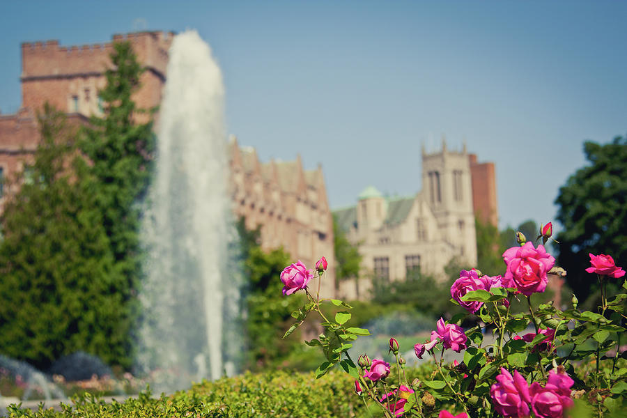 Flowers And Fountain At University Photograph by Damian Yearwood Photography