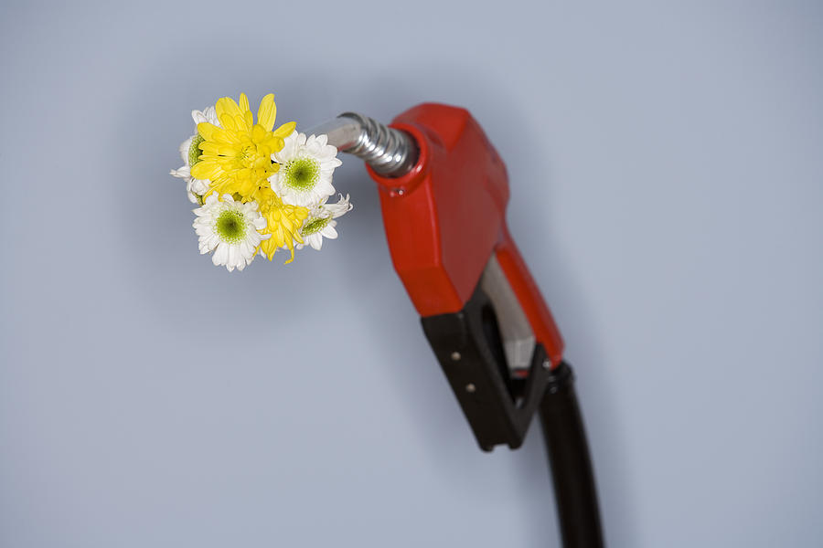 Flowers and gas pump Photograph by Comstock Images