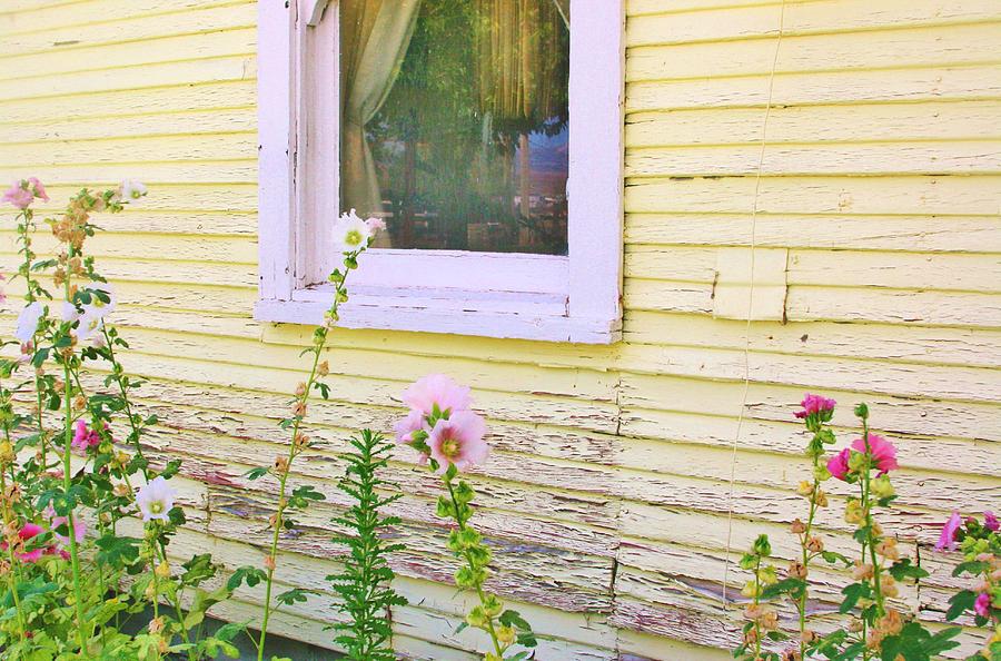 Flowers And Peeling Paint Photograph by Marilyn Diaz