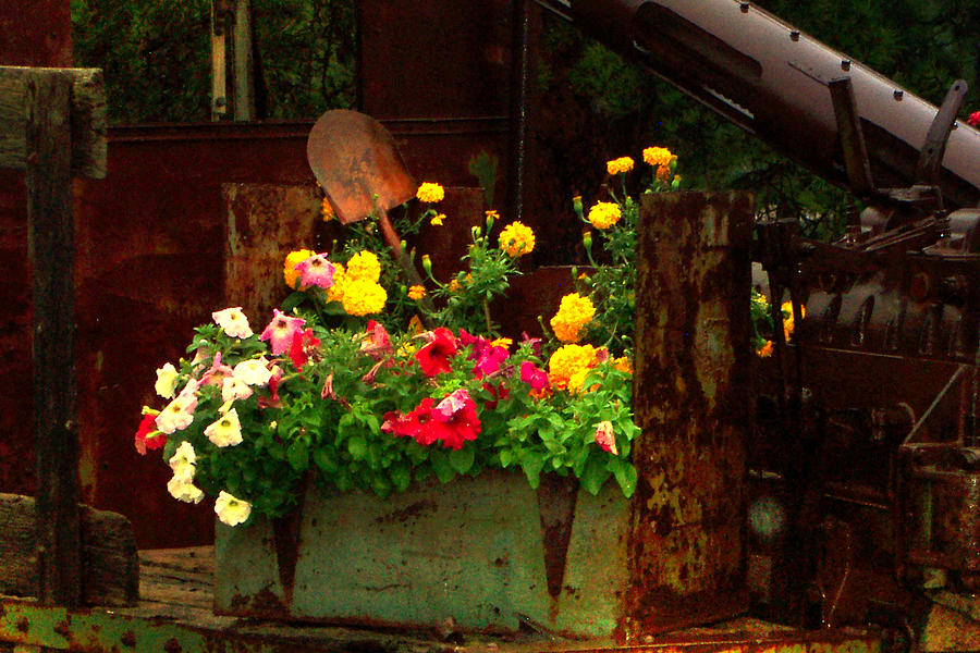 Flowers and Shovel on an Old Drill Truck Photograph by Lanita Williams