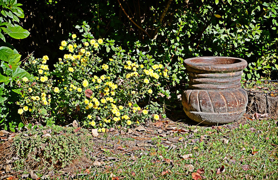 Flowers and Urn Photograph by Linda Brown
