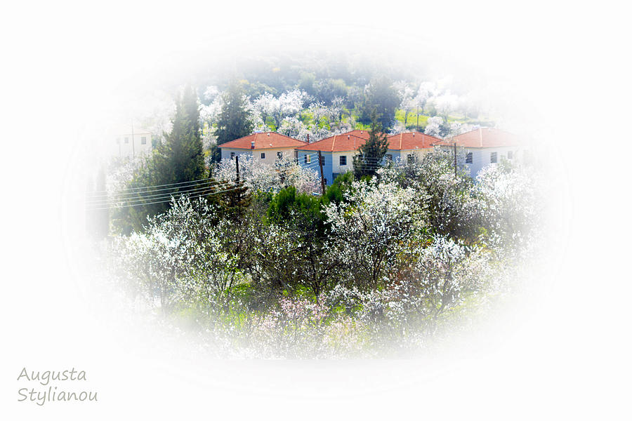 Flowers and Villas Photograph by Augusta Stylianou
