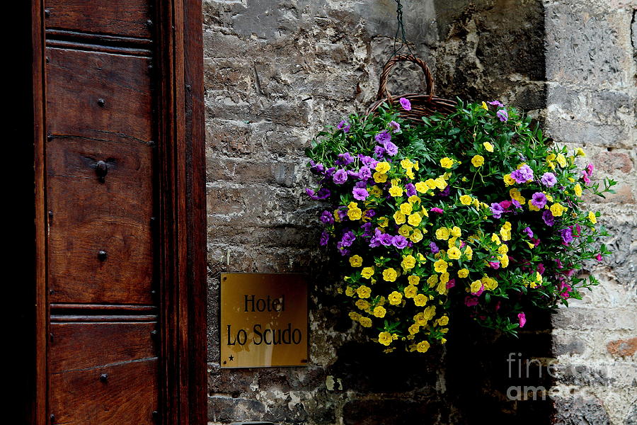Flowers - Assisi Photograph by Theresa Ramos-DuVon