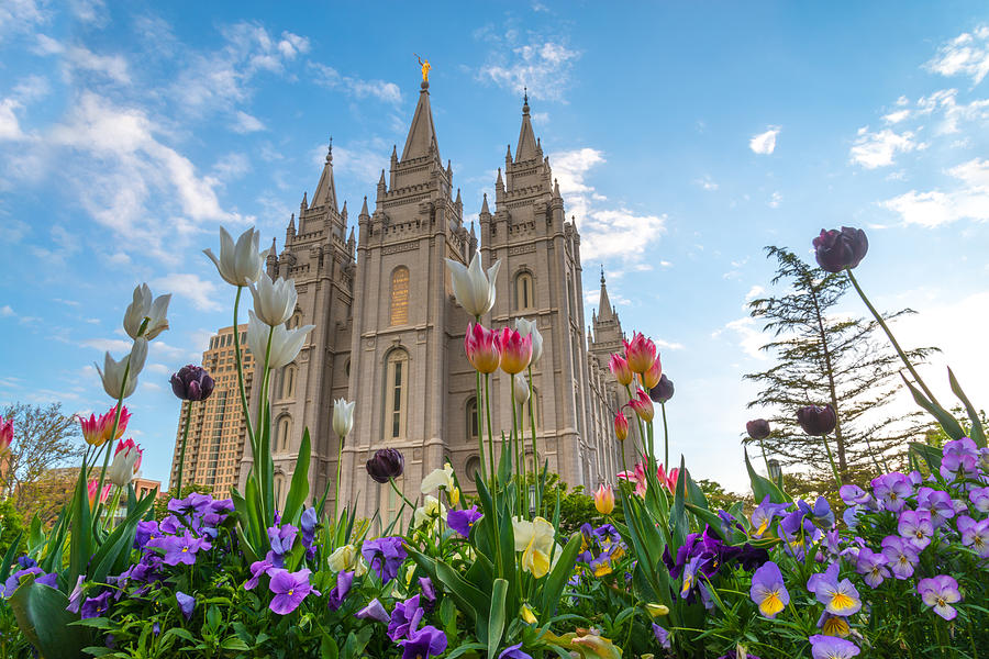 flowers at temple square photograph by dustin lefevre flowers at temple square photograph by dustin lefevre