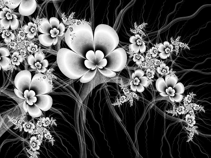 Flowers Black and White Digital Art by Gabiw Art