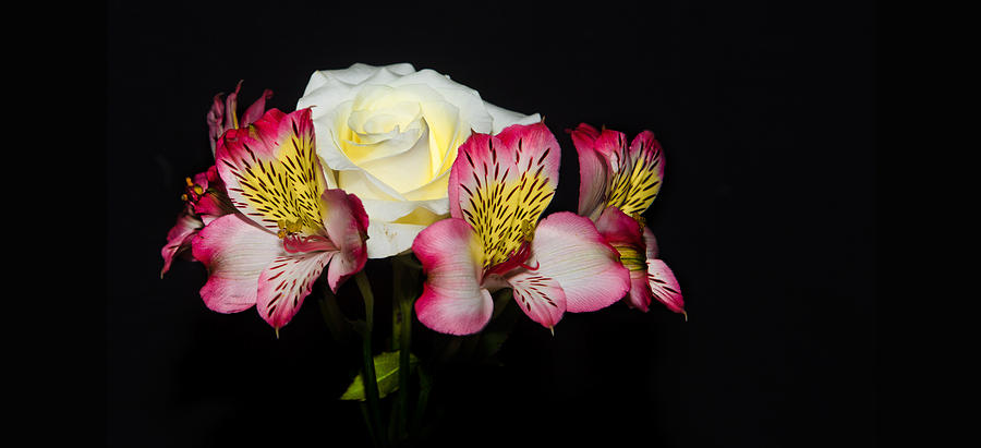 Flowers Photograph by Cecil Fuselier