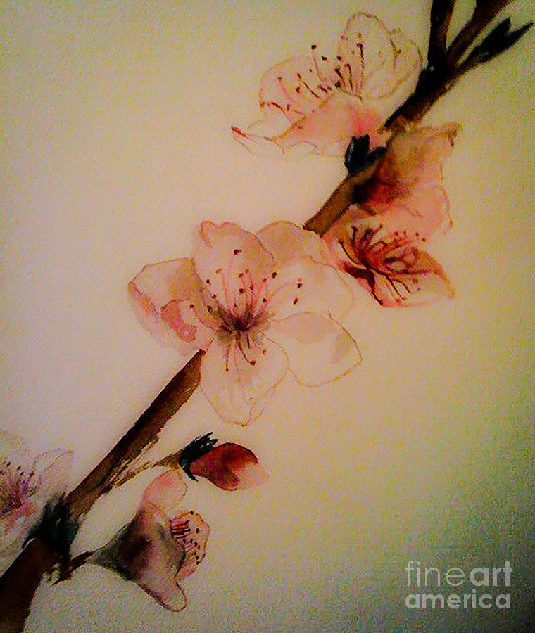 Flowers - Cherry Blossoms - Blooms Painting by Jan Dappen