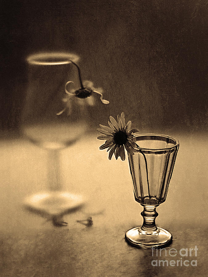 Flowers Conversation in Sepia Photograph by Scott Mendell