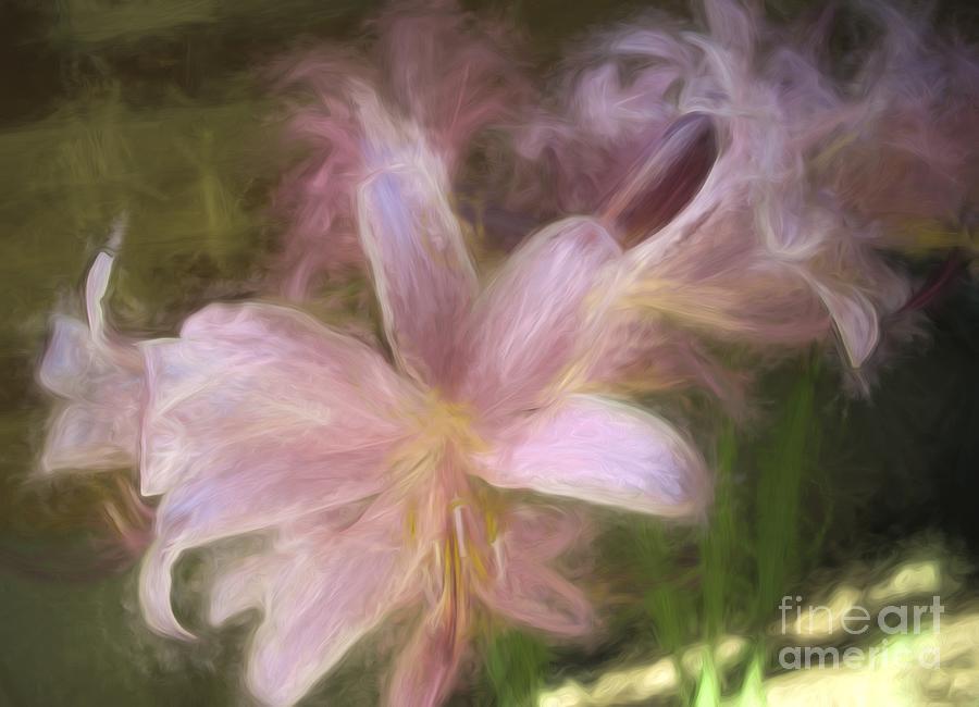 Flowers - Dreamy Lilies - Luther Fine Art Photograph by Luther Fine Art