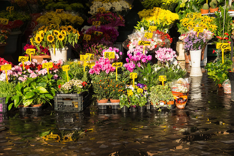 Flowers for Sale at Campo de Fiori - My Favourite Market in Rome Italy Photograph by Georgia Mizuleva