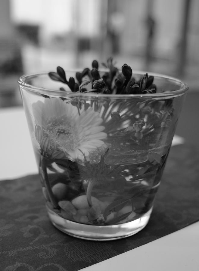 Flowers in a Glass Photograph by Miguel Winterpacht