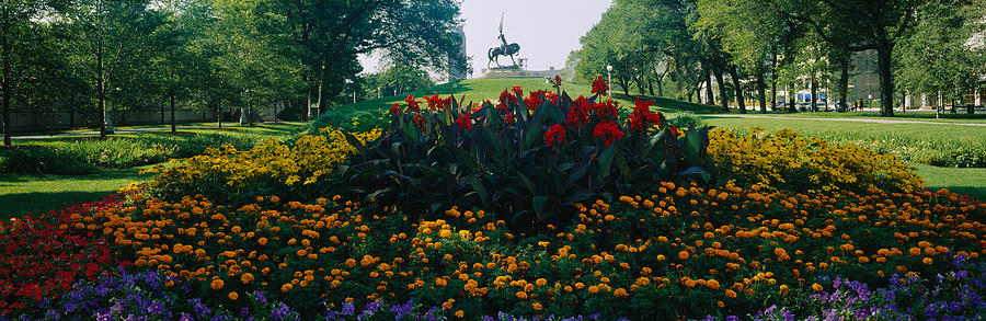 Flowers In A Park, Grant Park, Chicago Photograph by Panoramic Images