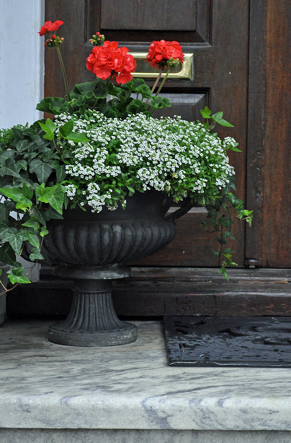 Flowers in Front of a Door in Charleston Photograph by Bruce Gourley