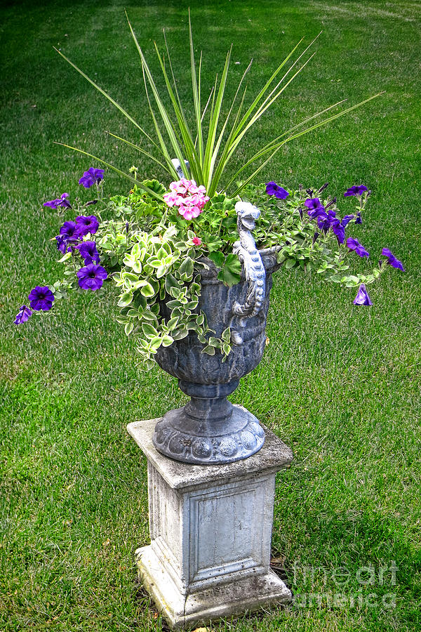 Flowers in Garden Urn Photograph by Olivier Le Queinec
