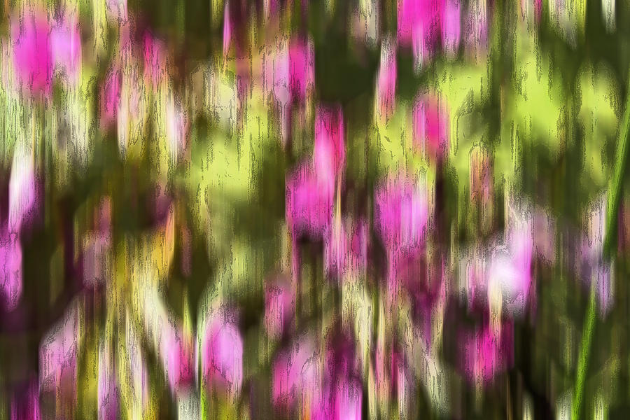 Abstract Digital Art - Flowers in ink by Kevin Round
