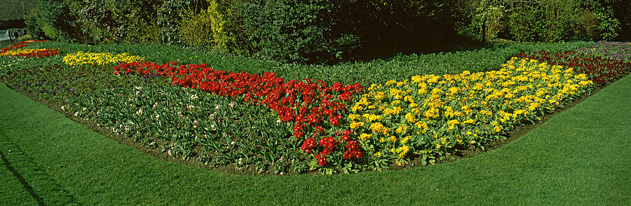 London Photograph - Flowers In St. Jamess Park, City by Panoramic Images