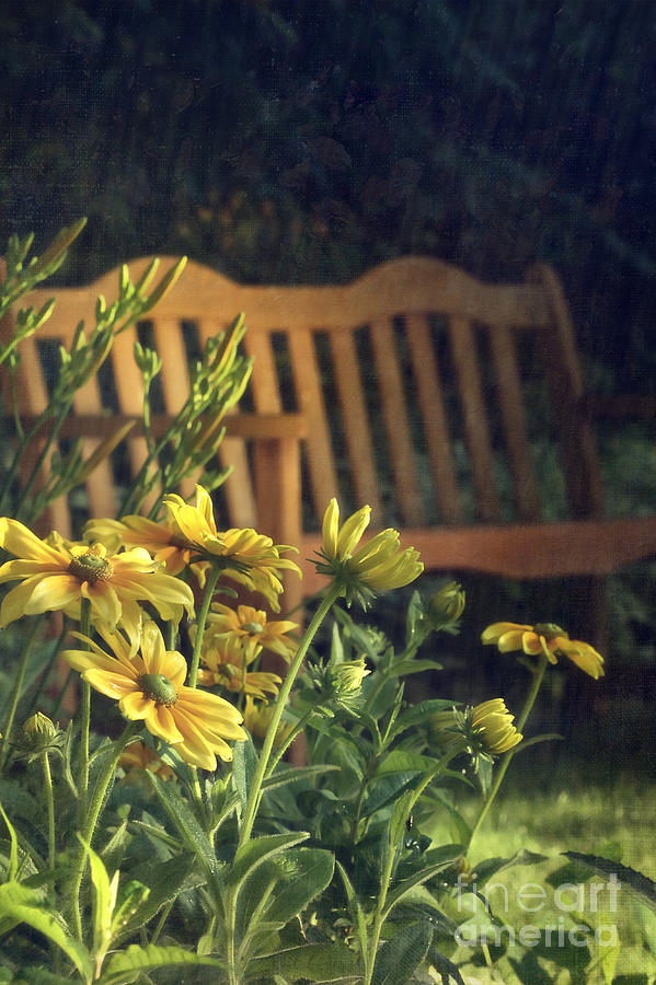 Flowers in the garden with bench Photograph by Sandra Cunningham