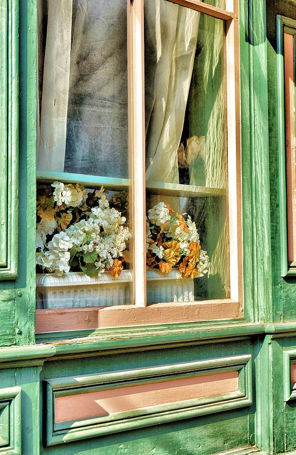 Flowers in the Window Photograph by Jean Goodwin Brooks