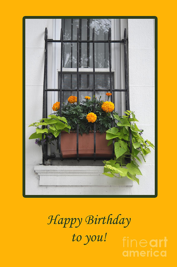 Flowers In The Window Photograph