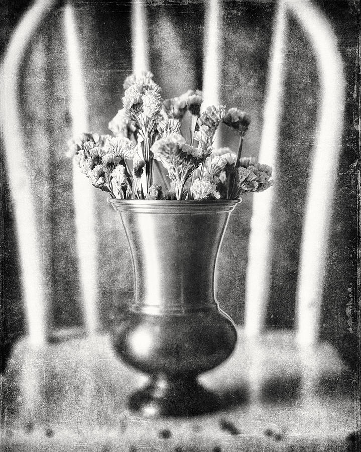 Black And White Photograph - Flowers in Vase Still Life in Black and White by Lisa R