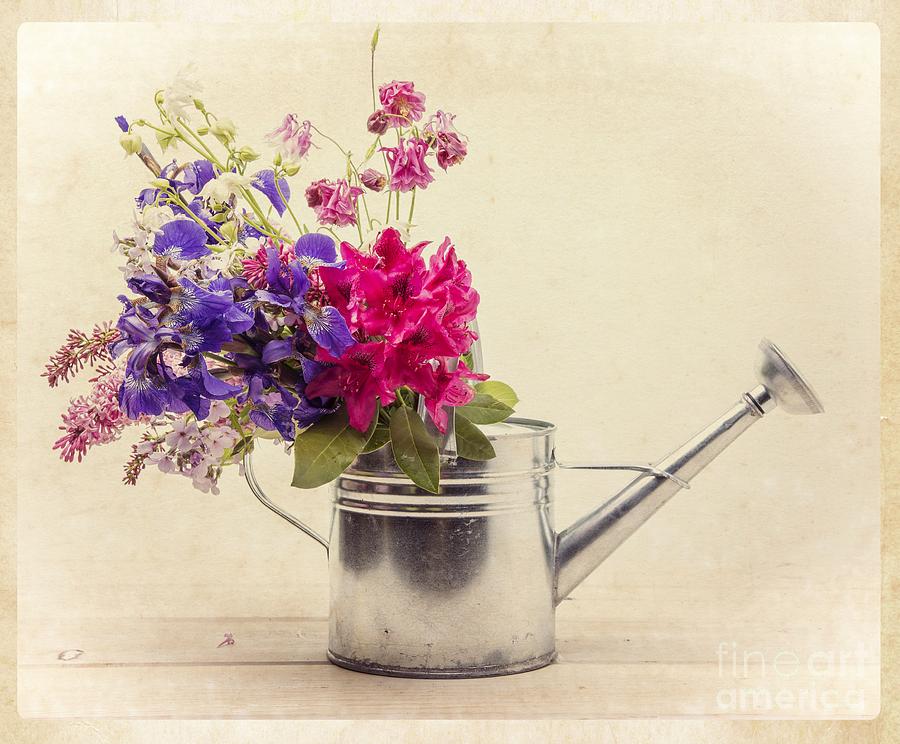 Flower Photograph - Flowers in Watering Can by Edward Fielding