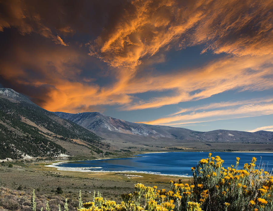 Flower Photograph - Flowers Lake Mountains Sky by Randall Branham