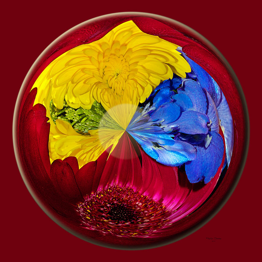 Flowers Of Many Colors Globe Photograph by Phyllis Denton