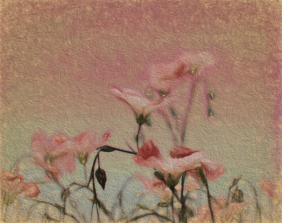 Flowers on the walls Digital Art by Cathy Anderson