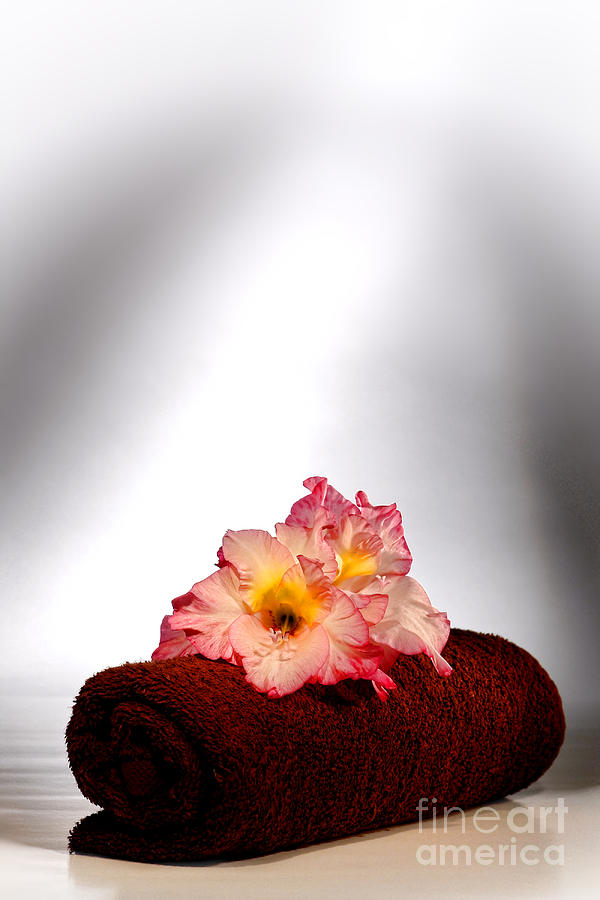 Flowers on Towel Photograph by Olivier Le Queinec