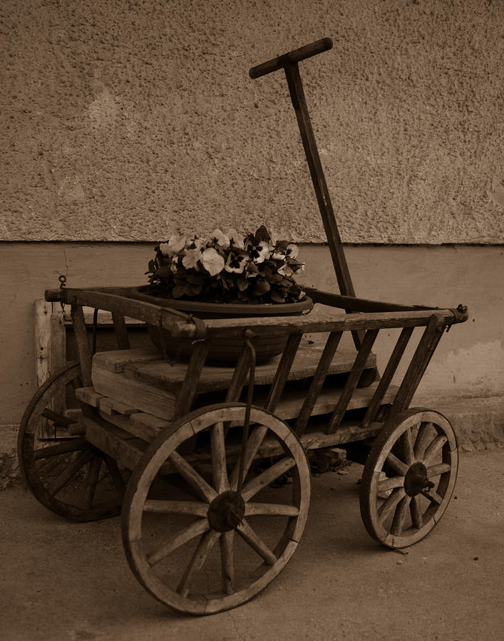Flowers on Wheels Photograph by Miguel Winterpacht