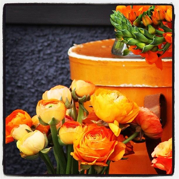 Seattle Photograph - #flowers #orange #seattle by Kelly Hasenoehrl
