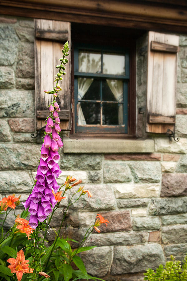 Flowers Stone and Old Country Window Photograph by Gary Heller