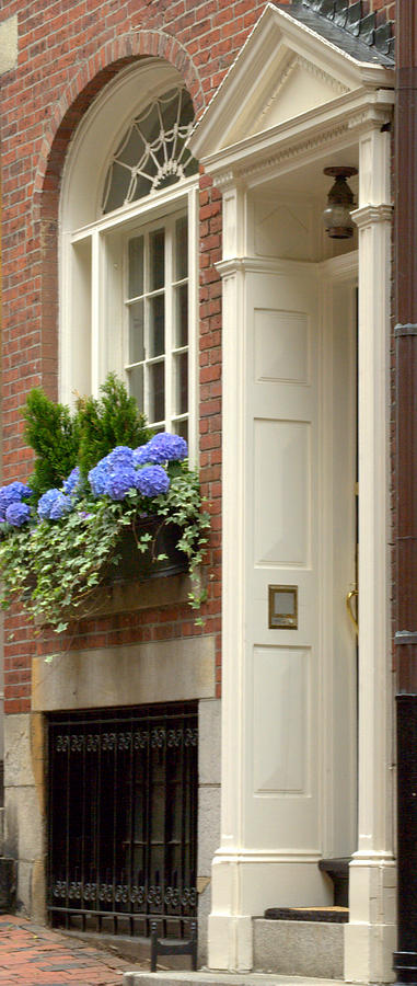 Flowers Windows and Doors Photograph by Caroline Stella