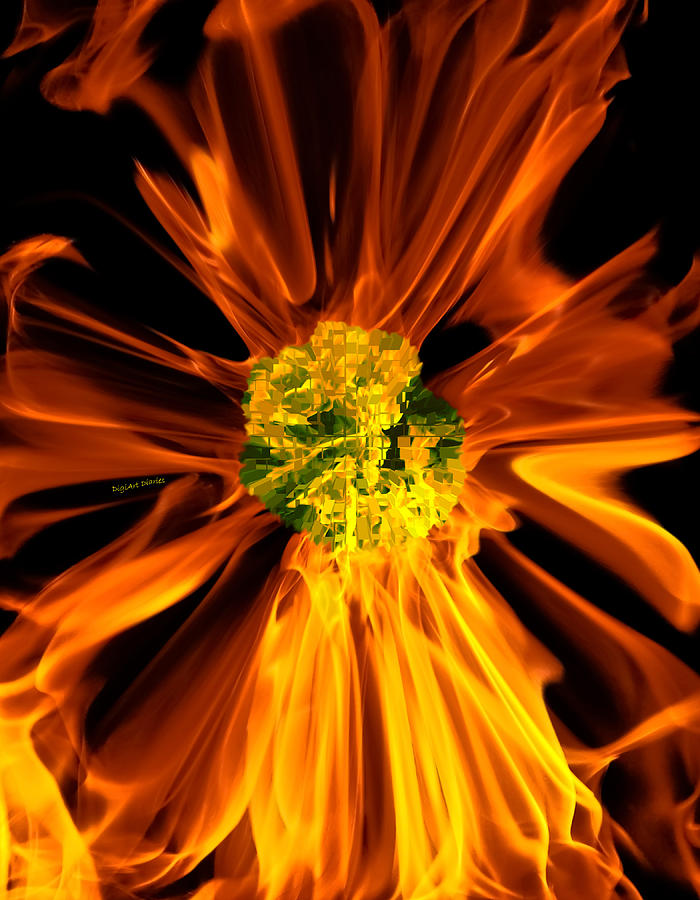 Flowery Flames Photograph by DigiArt Diaries by Vicky B Fuller