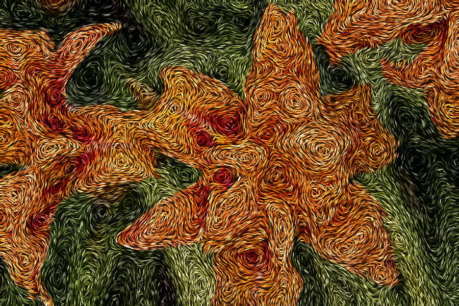 Orange Flower Photograph - Flowery Van Gogh by Paul Szudzik