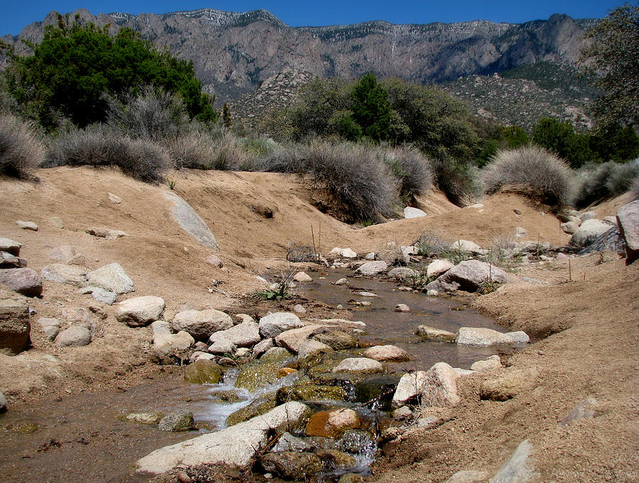 Flowing Arroyo Photograph by Aaron Burrows